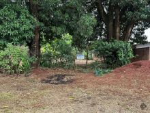 Amplo terreno no asfalto e murado