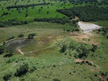 Fazenda com fartura de água a 80 km de Campo Grande