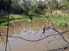 Chácara com 6ha e à 80km de Campo Grande