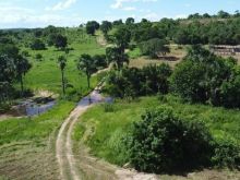 Fazenda 674 hectares em Coxim