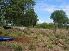 Chácara com 12 hectares na região do Bonfim