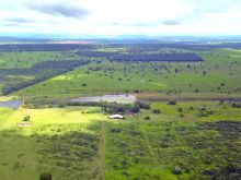 Fazenda rica em água - 611 ha na pecuária