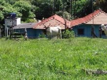 Chácara formada - 48 hectares - Bonfim - 60 km de Campo Grande