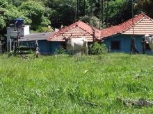 Chácara 48 hectares - Bonfin - à 60 km de Campo Grande