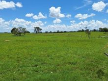 Fazenda 491 hectares pecuária/agricultura