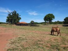 Fazenda em Aquidauana com 515 hectares