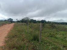 Área com 2 hectares