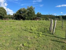 Fazenda de 412 hectares