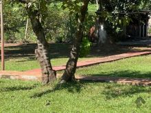 Lindo rancho com piscina e em beira de rio