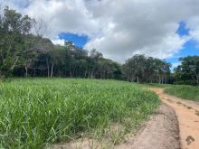 Fazenda de 350 hectares em Rio Negro
