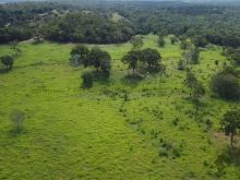 Fazenda pronta com 186 hectares - São Gabriel do Oeste