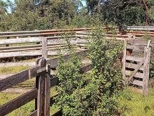 Sítio com 27 hectares - R$ 650 mil