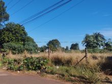 Um hectare - a 60m da rua da Divisão