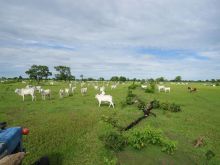 Oportunidade única fazenda em Bonito na BR