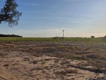 Fazenda 520ha - 50Km de Campo Grande