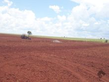 Fazenda 1.500 ha - 30 km da capital