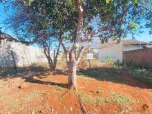 Oportunidade - terreno - Nova Campo Grande - 427m²