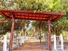 Chácara de 5.000m² - na saída para Sidrolândia