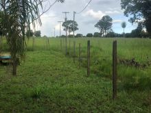 Oportunidade única 3,5 hectares