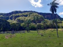 Piraputanga