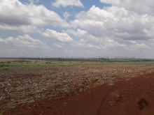 Fazenda entre Sidrolândia e Maracaju