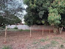Terreno plano - 30m do asfalto