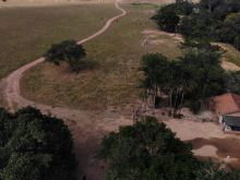 94 hectares formada