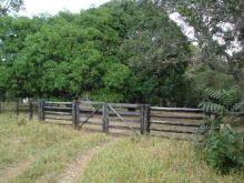 Chácara Gleba de terras com 1 hectare