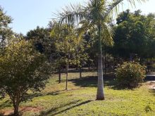 Chácara na beira do rio Aquidauana