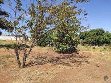 Terreno plano 12x30m