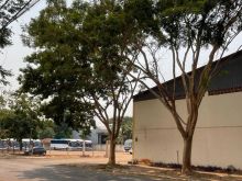 Área para empreendimento residencial ou comercial