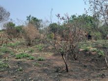 Terreno de esquina próximo ao mercado Pires