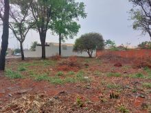 3 terrenos juntos 1.184m²