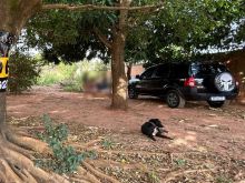 Terreno no Noroeste 360 m²