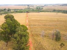Fazenda - 190 ha 45 Km de Campo Grande - MS