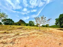 Fazenda 150ha aberto com licença para abrir mais