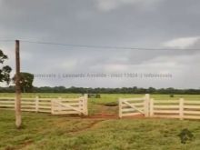 Fazenda em dois Irmãos do Buriti - 225 hectares