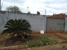 Terreno 10 x 45 m todo murado e bem localizado