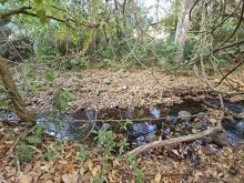 Chácara de 9 hectares em Jaraguari-MS com córrego