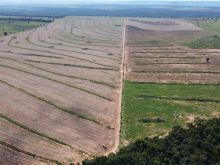 Fazenda lavoura/pecuária beira Rio Aquidauana