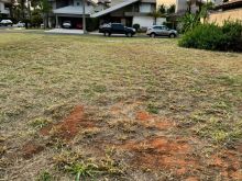 Terreno em condomínio - Residencial Damha I