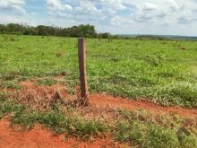 Fazenda de 2.000 ha - Terenos - oportunidade única