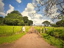 Investidores com 20.000 m² com viabilidade