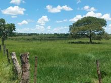 4715 ha - fazenda em Ribas apenas 28 km de estrada de chão