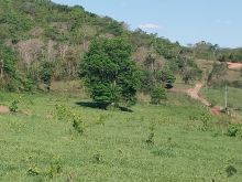 303 hectares - margens Rio Coxim