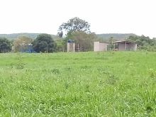 Chácara 6 hectares - R$380 mil - toda cercada