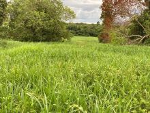 Fazenda 40 km Rio Verde