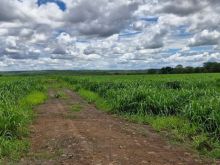 Fazenda em Terenos - 5 km da cidade
