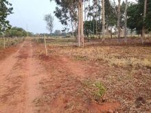 Dupla aptidão 2.47 ha - 1.500m da BR 163