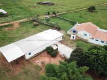 Pecuária 4712 hectares - duplaaptidão